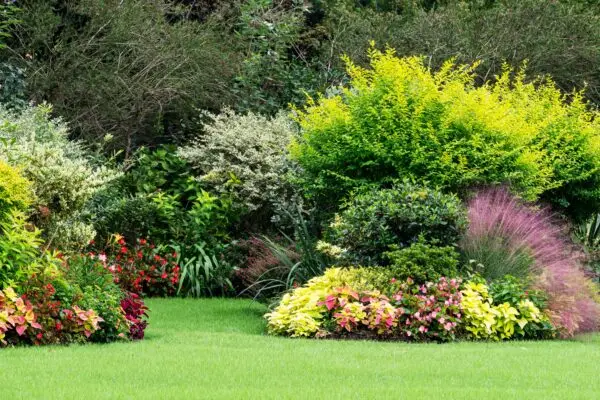 Garden grow mix for raised beds and landscaping
